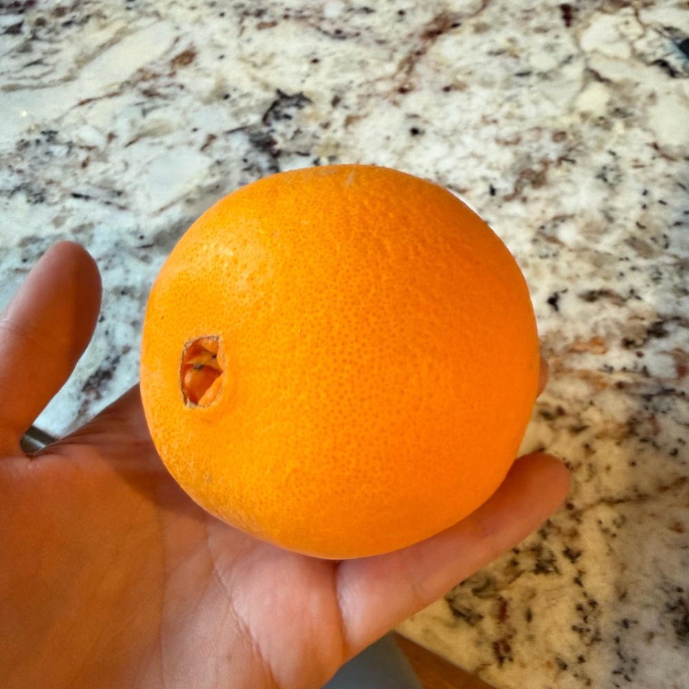 Vibrant Orange Fuut